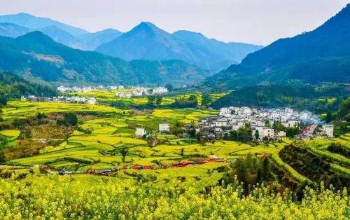 婺源最新爆料,最新爆料揭秘古村新颜  第3张